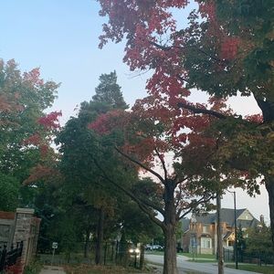 Meet your Posher, Amrit